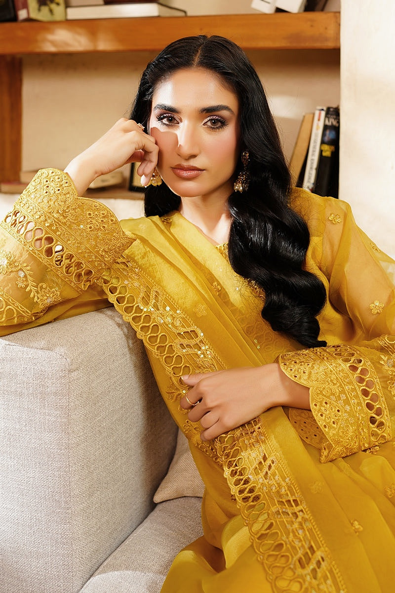 MARYAM'S NOIR LUXE PRET 2025