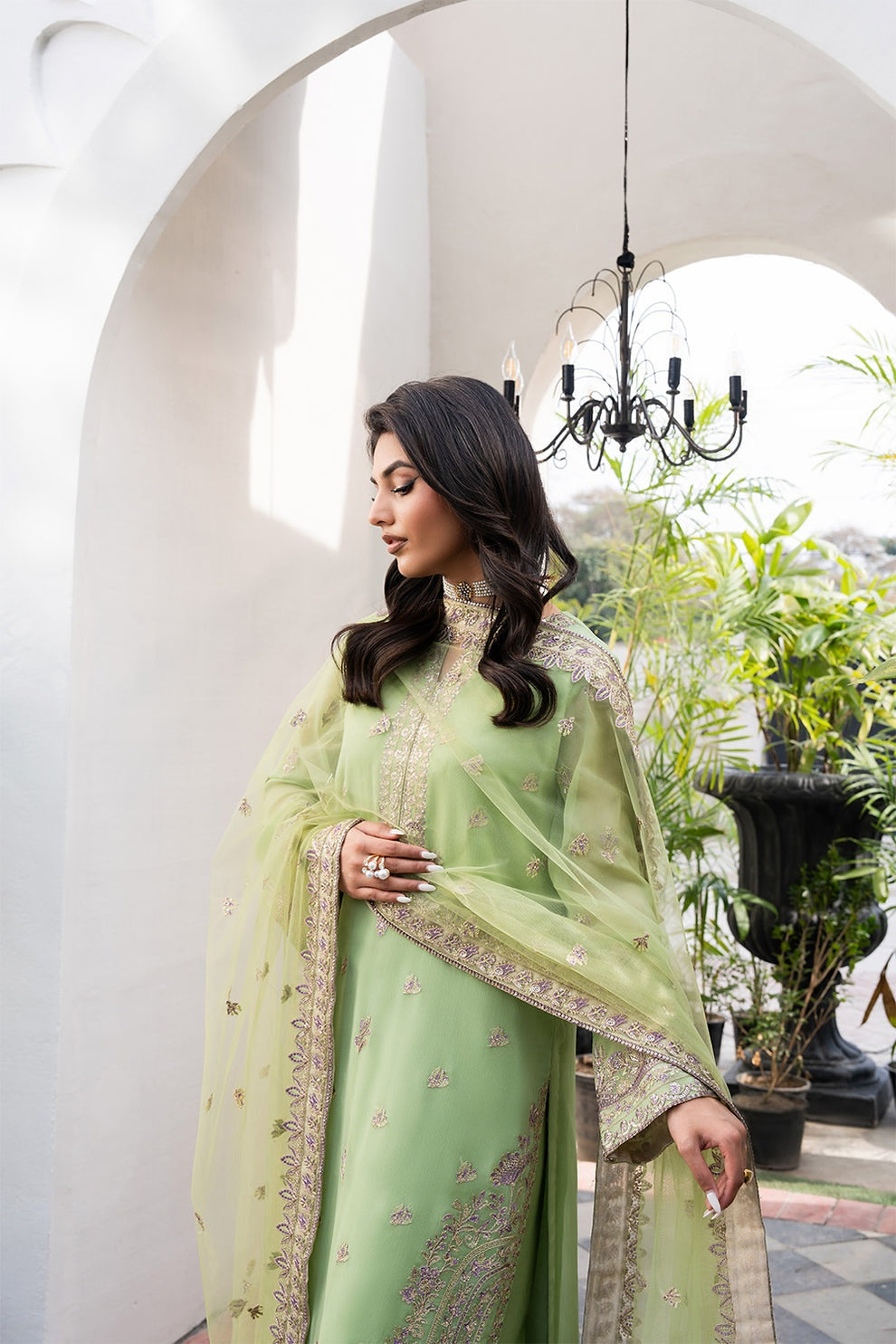 FREESIA TARZ PREMIUM CHIFFON COLLECTION 2025