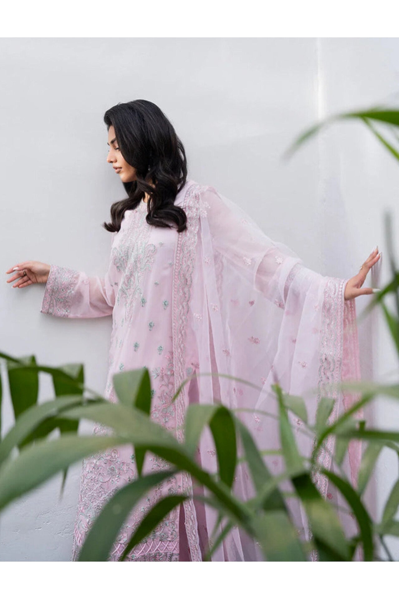 FREESIA TARZ PREMIUM CHIFFON COLLECTION 2025