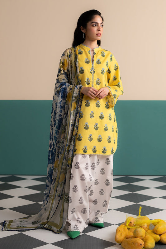 COCO PRINTS VOL 3 BY ZARA SHAHJAHAN 2025