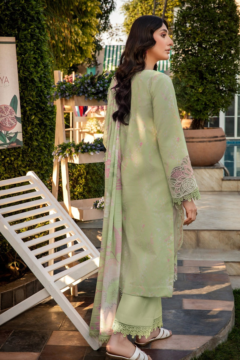 RANG RASIYA FLORENCE SUMMER EDIT 2025 ✅