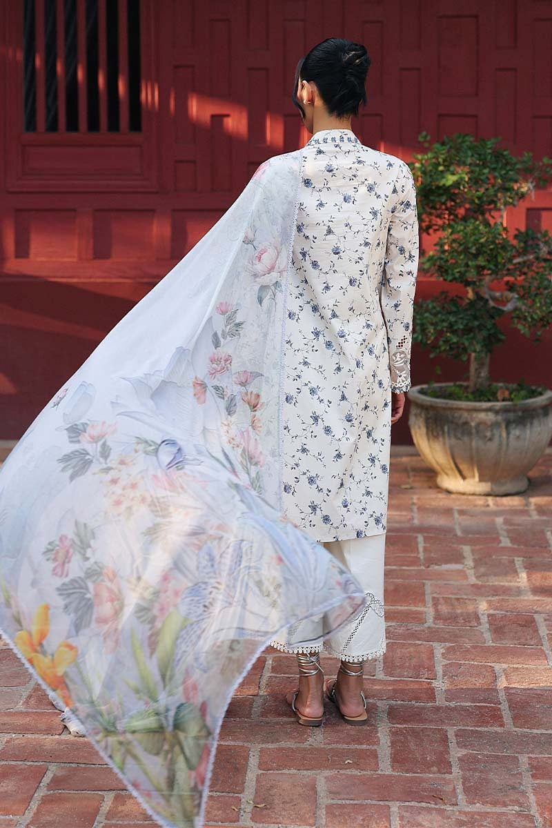 QALAMKAR QPRINTS LAWN EMBROIDERED 2026 A [ 𝘽𝙀𝙎𝙏 𝙋𝙍𝙄𝘾𝙀 ✅ ]