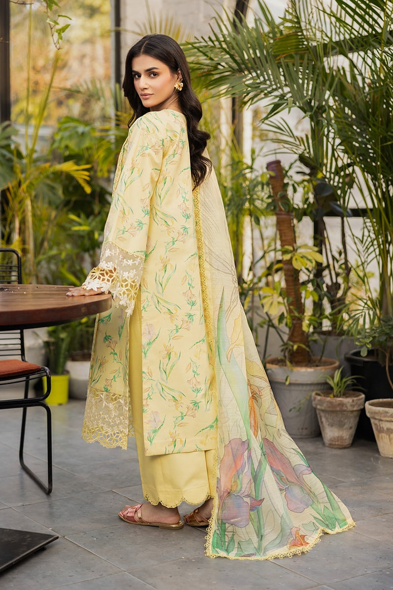 RANG RASIYA LIFESTYLE SUMMER EDIT LAWN 2025
