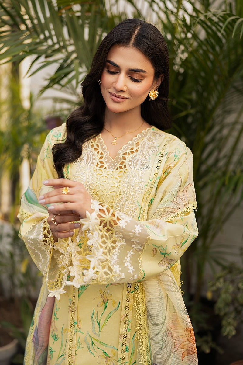 RANG RASIYA LIFESTYLE SUMMER EDIT LAWN 2025