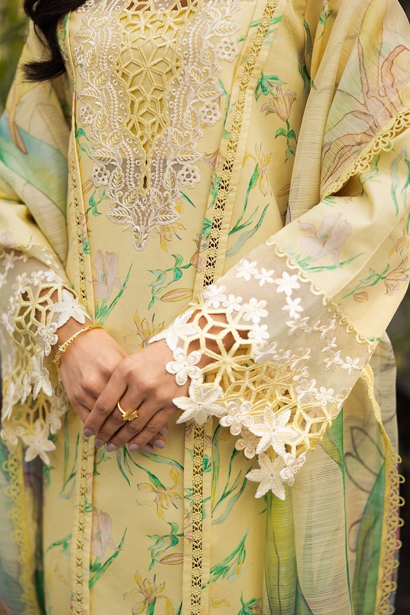 RANG RASIYA LIFESTYLE SUMMER EDIT LAWN 2025