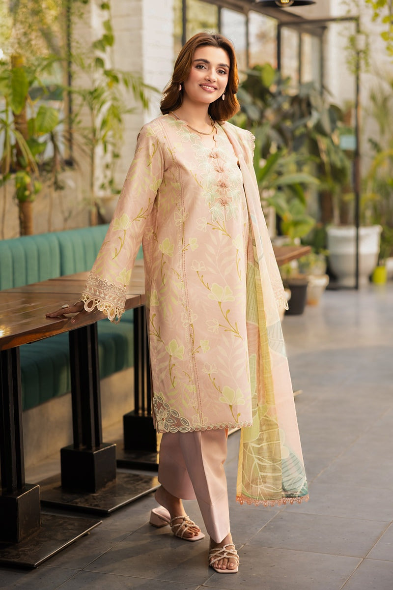 RANG RASIYA LIFESTYLE SUMMER EDIT LAWN 2025