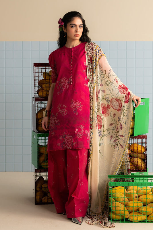 COCO PRINTS VOL 3 BY ZARA SHAHJAHAN 2025