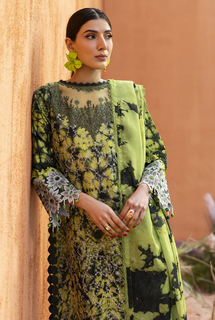 PARISHAY IVY BLOOM VOL 1 SUMMER COLLECTION 2026