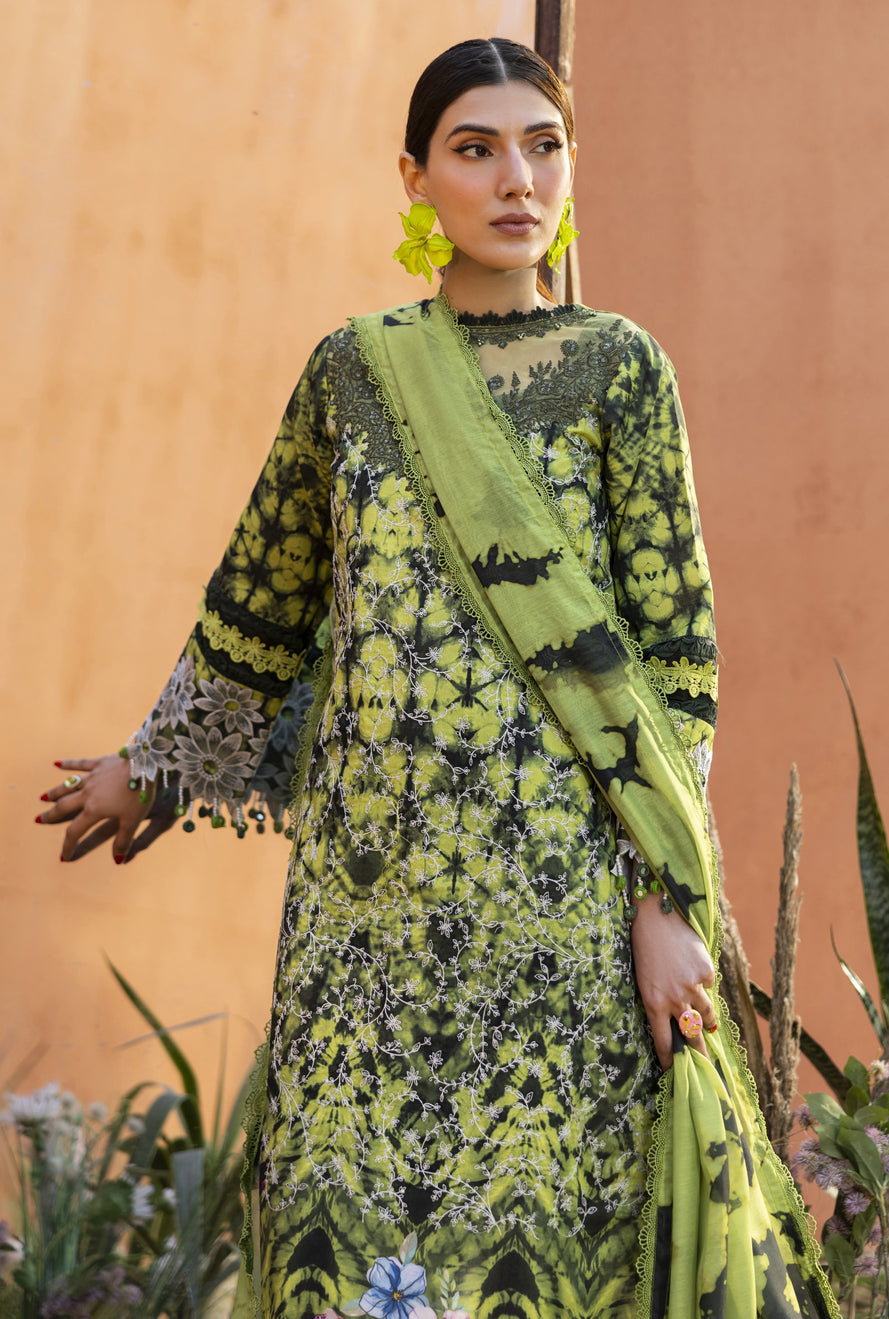 PARISHAY IVY BLOOM VOL 1 SUMMER COLLECTION 2026