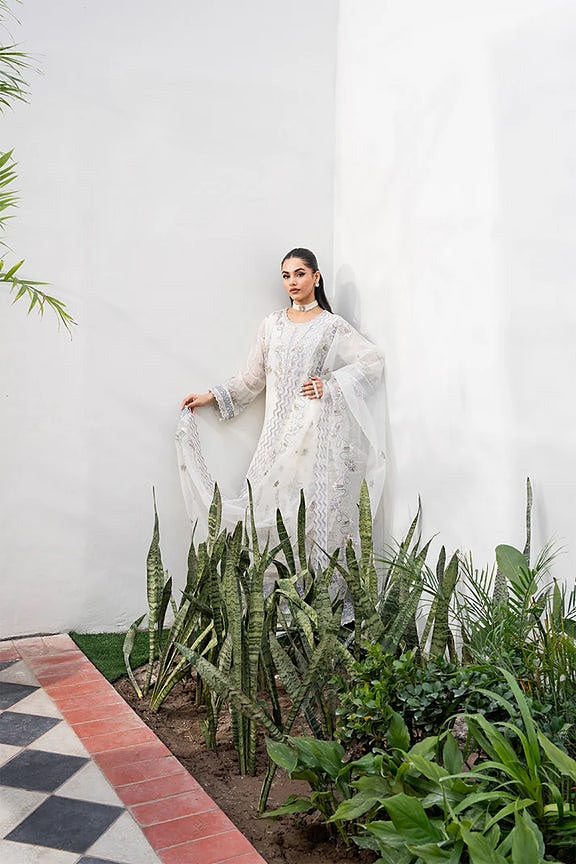 FREESIA TARZ PREMIUM CHIFFON COLLECTION 2025
