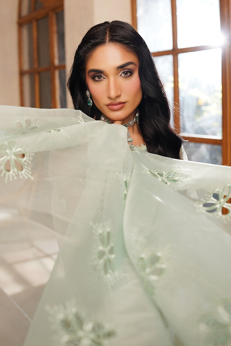 MARYAM'S NOIR LUXE PRET 2025