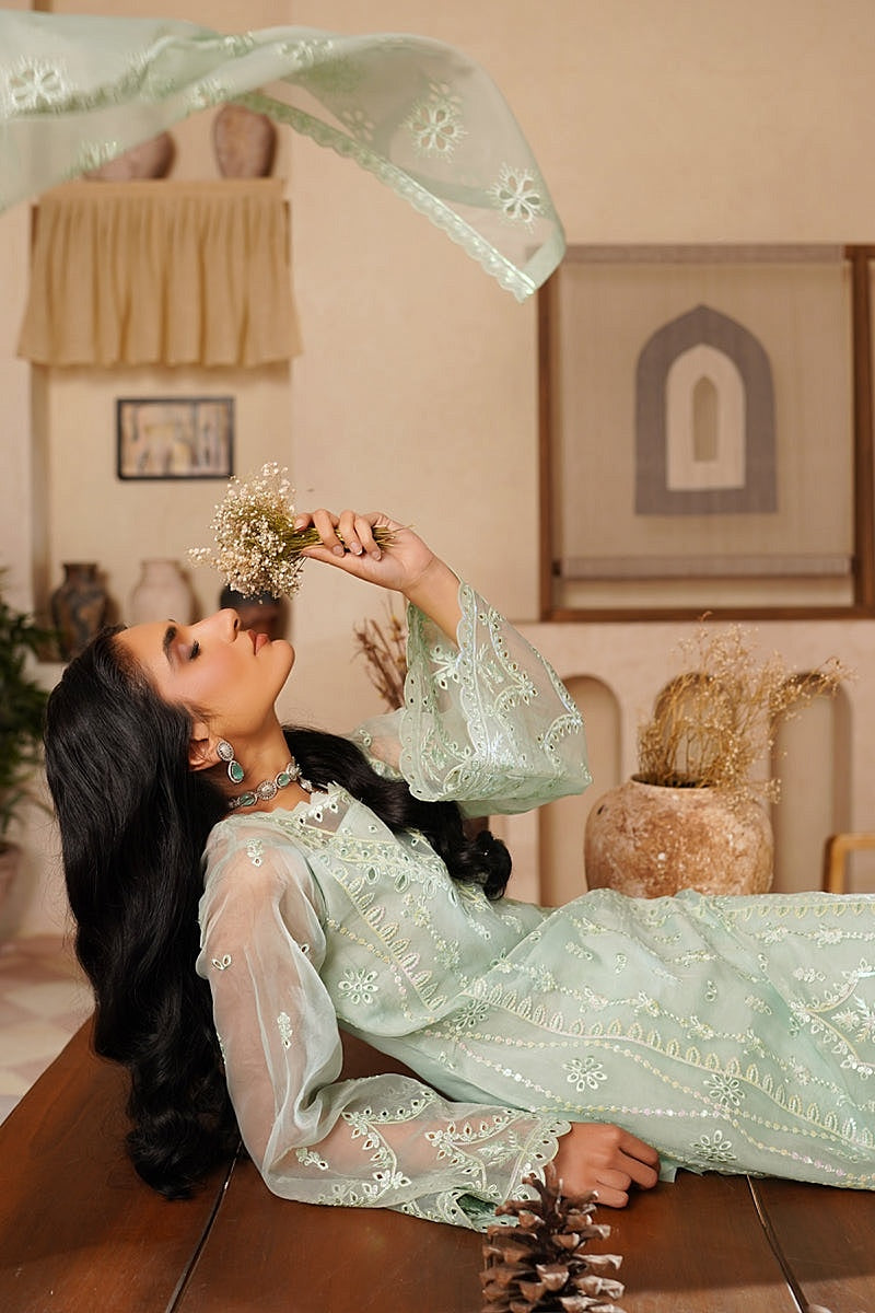 MARYAM'S NOIR LUXE PRET 2025
