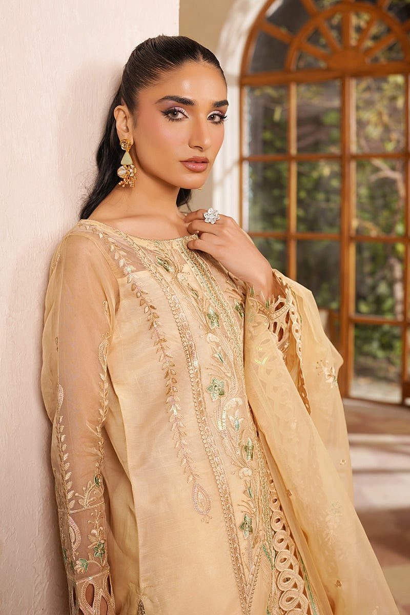 MARYAM'S NOIR LUXE PRET 2025