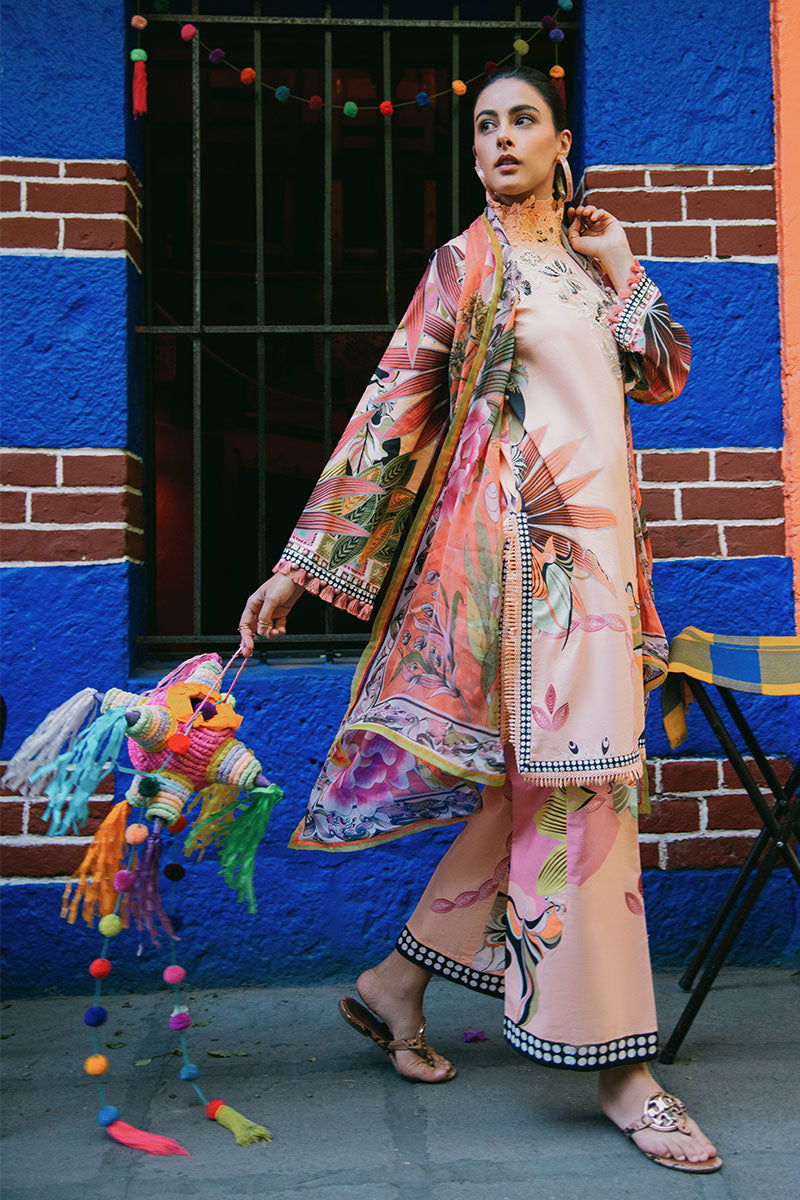 MUSHQ LA DOLCE HEMLINE PRINTS VOL 2 2025