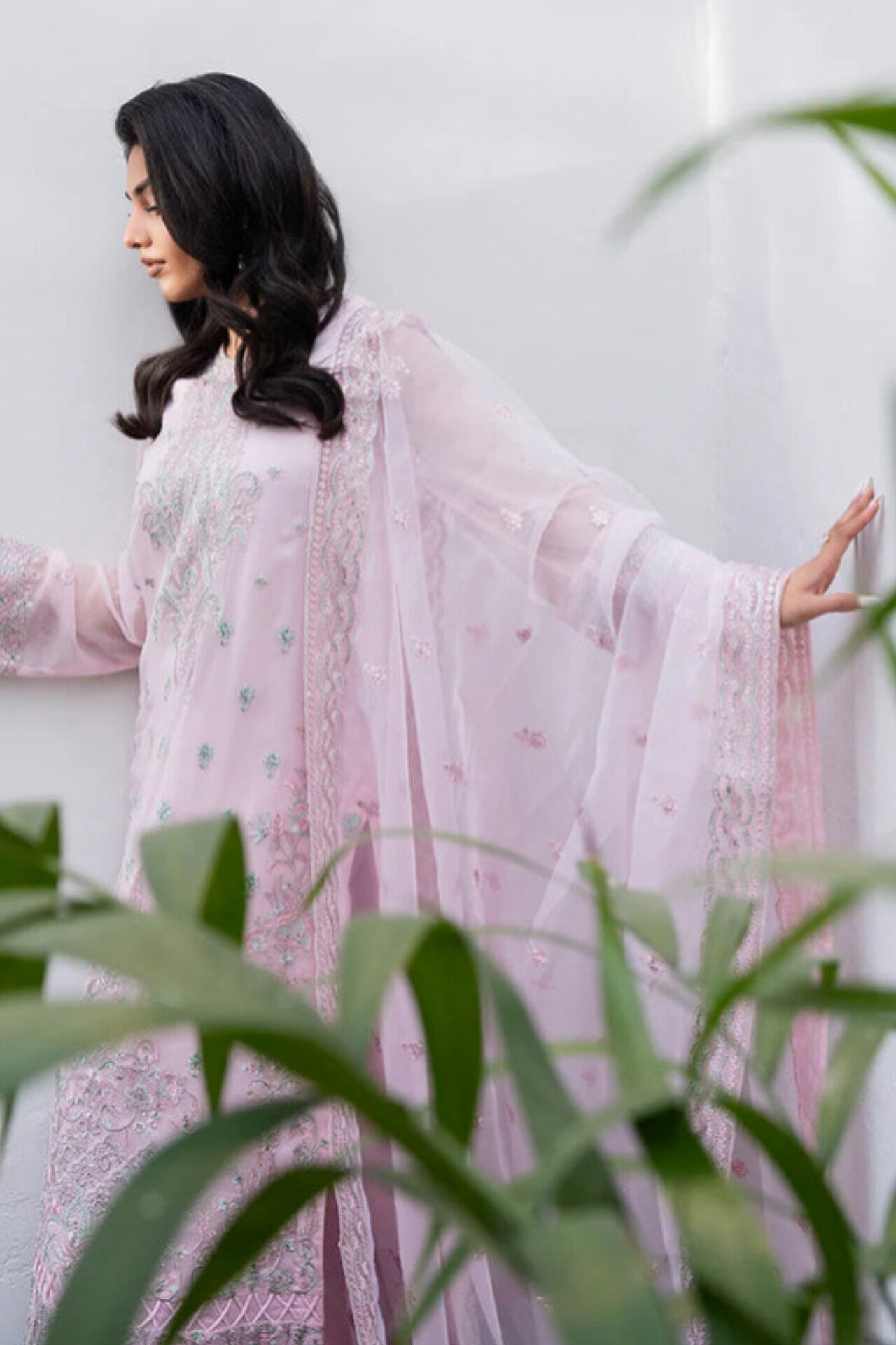 FREESIA TARZ PREMIUM CHIFFON COLLECTION 2025
