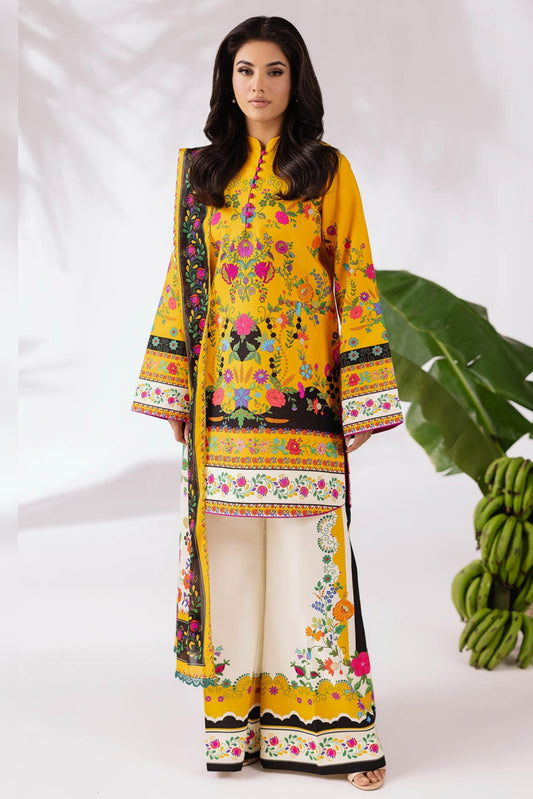 RAJBARI AMAL PRINTS DROP 2 SUMMER PRINTS 2025